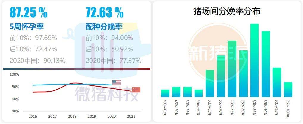 这195家猪场生产性能数据，揭示中国养猪业生产关键难题 ｜ 2021全国猪业数据报告