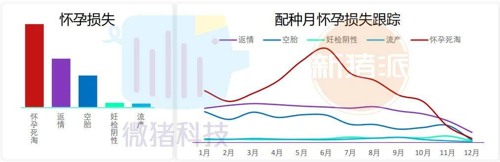 这195家猪场生产性能数据，揭示中国养猪业生产关键难题 ｜ 2021全国猪业数据报告