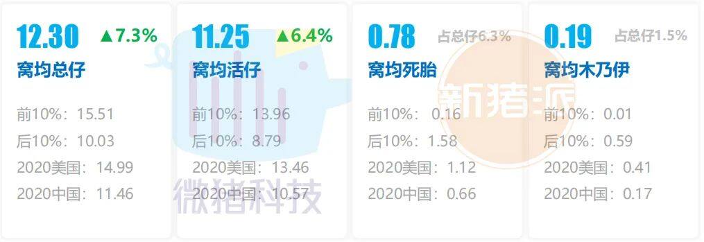 这195家猪场生产性能数据，揭示中国养猪业生产关键难题 ｜ 2021全国猪业数据报告