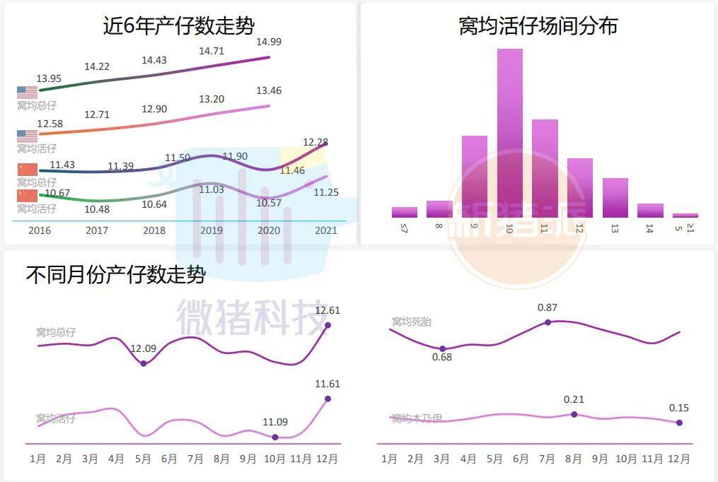 这195家猪场生产性能数据，揭示中国养猪业生产关键难题 ｜ 2021全国猪业数据报告