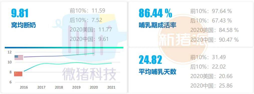 这195家猪场生产性能数据，揭示中国养猪业生产关键难题 ｜ 2021全国猪业数据报告