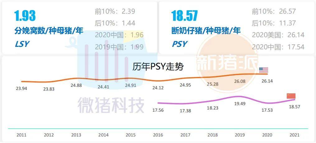 这195家猪场生产性能数据，揭示中国养猪业生产关键难题 ｜ 2021全国猪业数据报告