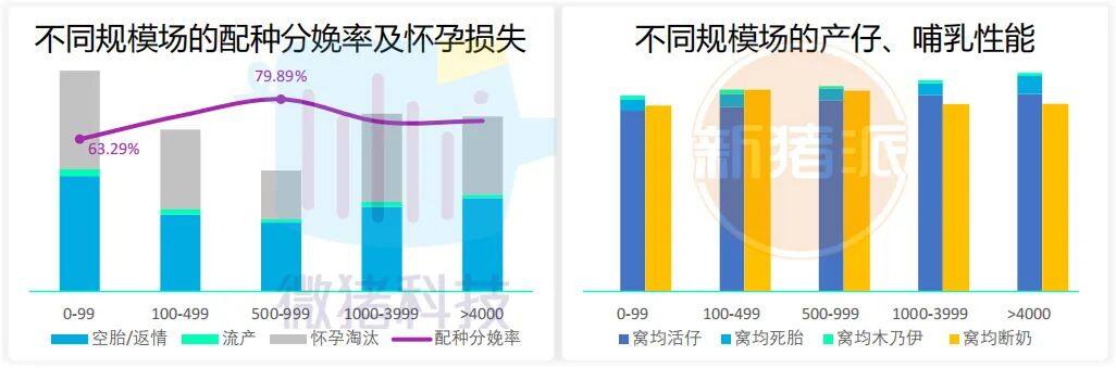 这195家猪场生产性能数据，揭示中国养猪业生产关键难题 ｜ 2021全国猪业数据报告