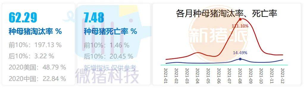 这195家猪场生产性能数据，揭示中国养猪业生产关键难题 ｜ 2021全国猪业数据报告