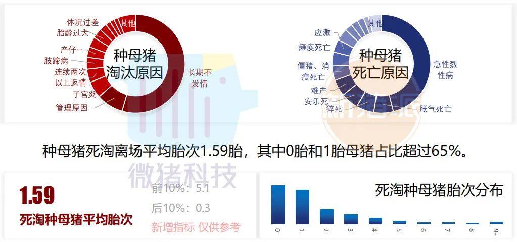 这195家猪场生产性能数据，揭示中国养猪业生产关键难题 ｜ 2021全国猪业数据报告