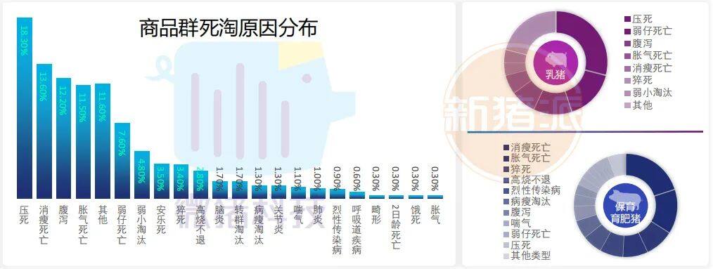 这195家猪场生产性能数据，揭示中国养猪业生产关键难题 ｜ 2021全国猪业数据报告