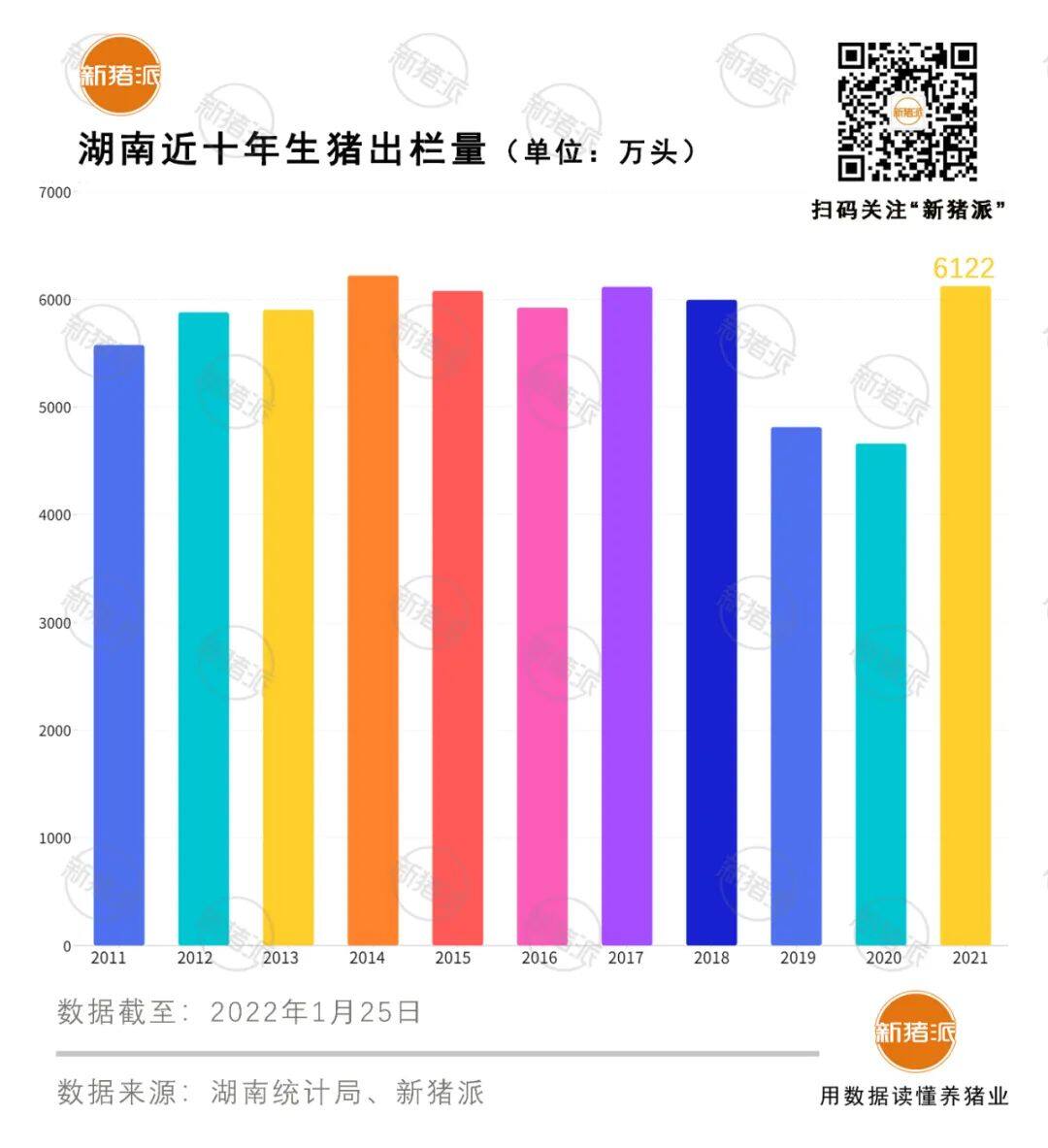 6122万头！湖南出栏创五年新高，唐人神等7家本土猪企母猪超30万头