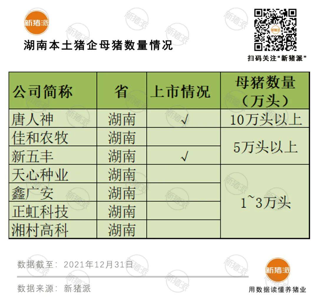 6122万头！湖南出栏创五年新高，唐人神等7家本土猪企母猪超30万头