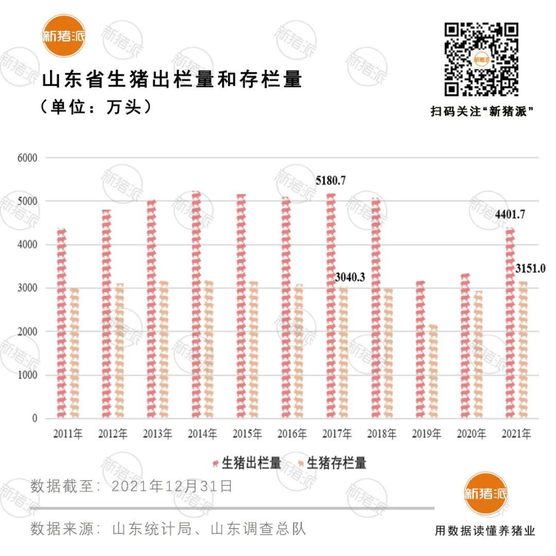 仅为正常年份85%！山东2021年出栏4402万头，外来巨头扎堆，却鲜有强势本土龙头