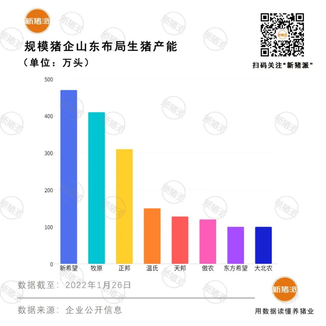 仅为正常年份85%！山东2021年出栏4402万头，外来巨头扎堆，却鲜有强势本土龙头