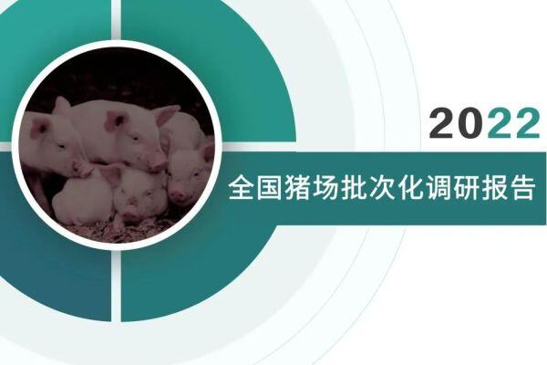 2022全国猪场批次化调研报告：聚焦55亿市场、覆盖超700家猪场！