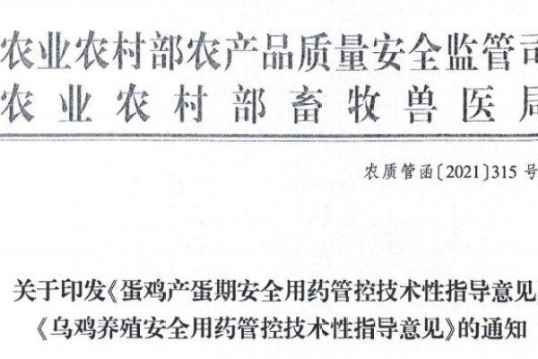 速看！农业农村部发布蛋鸡、乌鸡用药管控指导意见，这21种（类）药物禁用