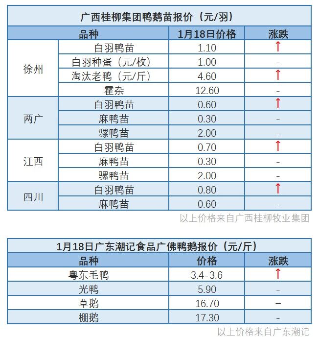 1月18日 ​浙江区域水禽价格下调【水禽价格指数】