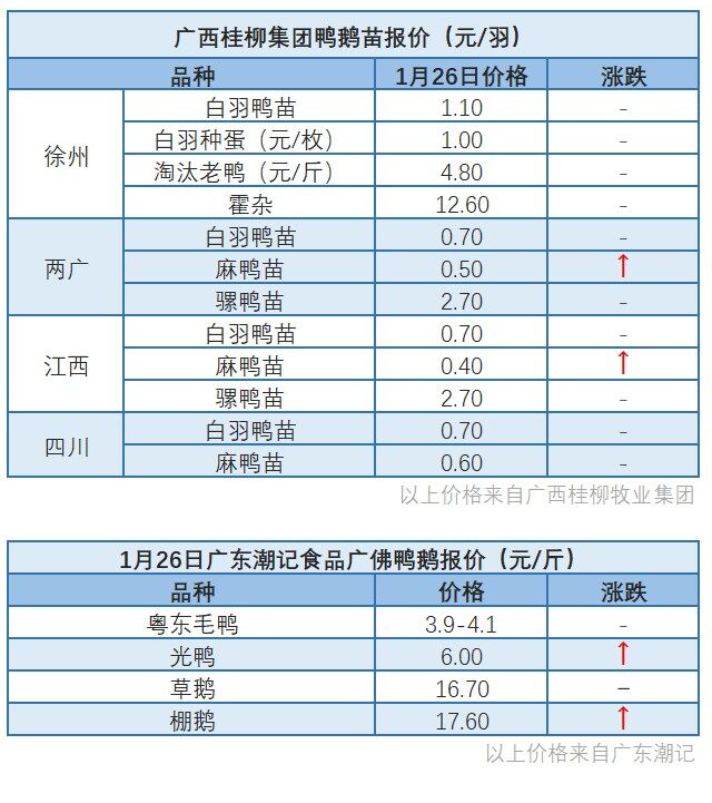 1月25日 ​广东地区肉鸭价格稳定【水禽价格指数】