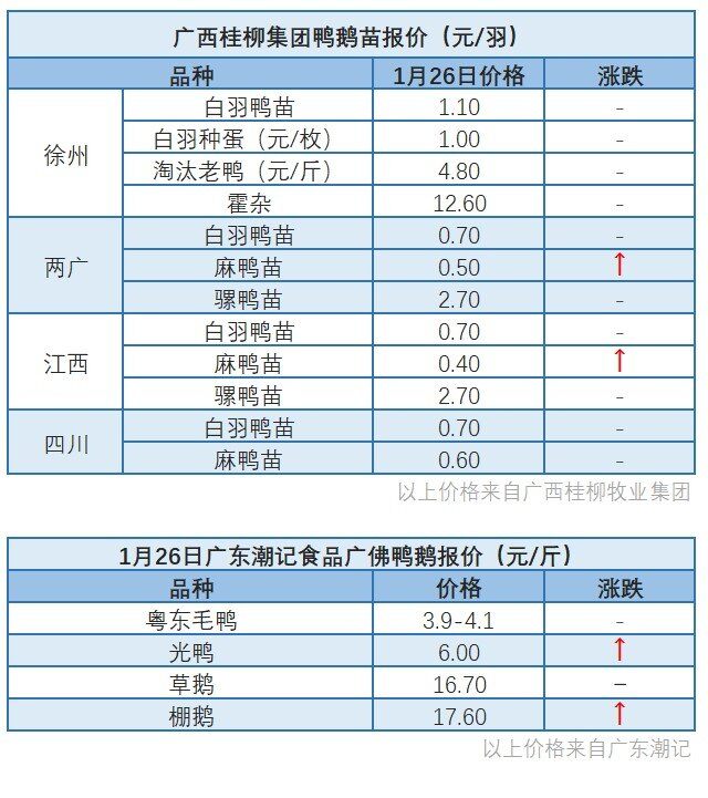 1月25日 广东地区肉鸭价格稳定【水禽价格指数】