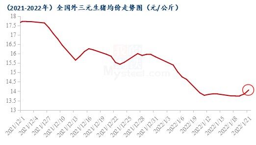 豬價上漲乏力，養豬再陷虧損，最高頭均虧損超200元