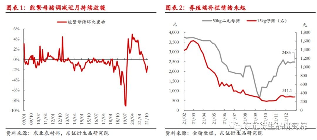 深度调研湖北龙头养猪企业和散养户，需警惕二次育肥、抄底补栏行为