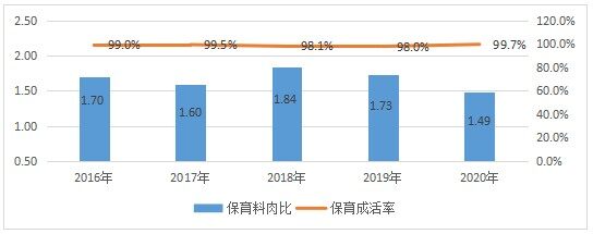 集团猪场批次化方案分享解析