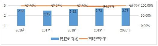 集团猪场批次化方案分享解析