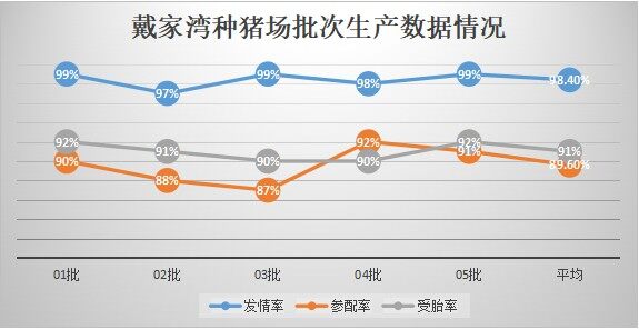 集团猪场批次化方案分享解析