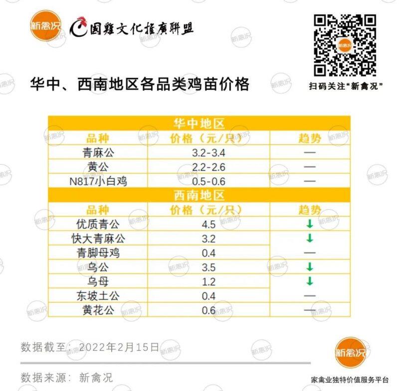 慢大麻公下跌0.7元/只！养户补栏意愿低、鸡苗市场供需失衡|苗价分析