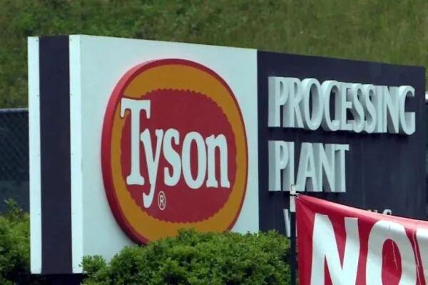 泰森食品鸡场发生禽流感！2022年全球已有765万只家禽死于H5N1