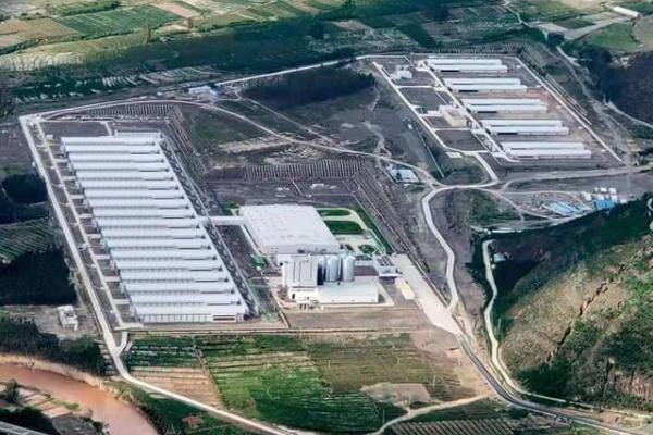 亚洲规模最大蛋鸡养殖项目在东川投产，每日提供5吨鲜蛋！