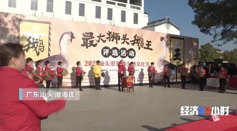 实现出口零突破！1只狮头鹅卖到1000元！市场供不应求，做成年产值30亿的大生意→