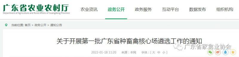 请注意！广东省种畜禽核心场遴选工作已开始，2022年3月31日截止申报！