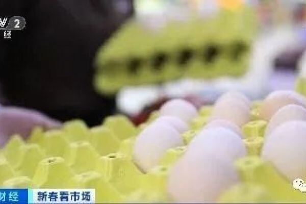 鸡蛋降至0.7元/个！蛋价走低、饲料涨价 蛋鸡养殖行业承压 专家建议：理性补栏