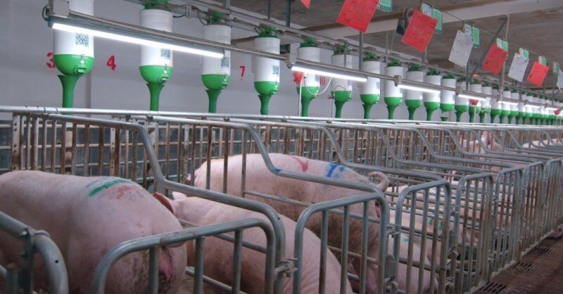 行业利润大缩水!用“新手段”实现提人效、降成本