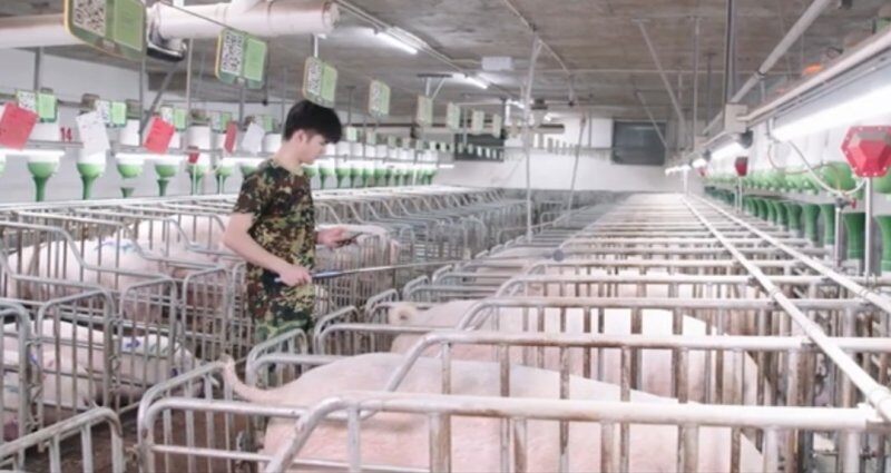 行业利润大缩水!用“新手段”实现提人效、降成本