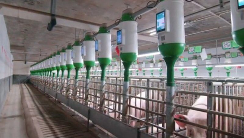 行业利润大缩水!用“新手段”实现提人效、降成本