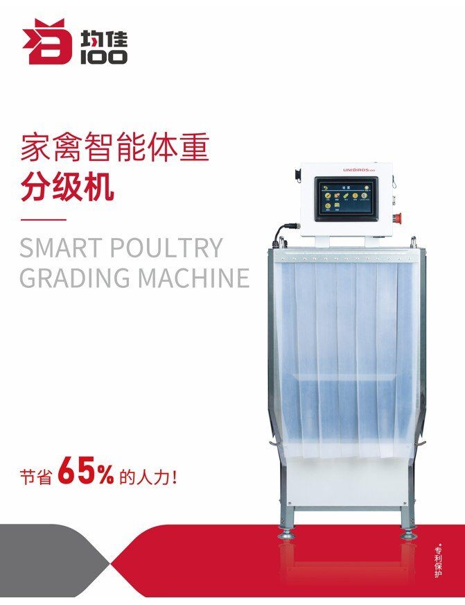 节省65%的人力，种鸡分栏这么做|新技术