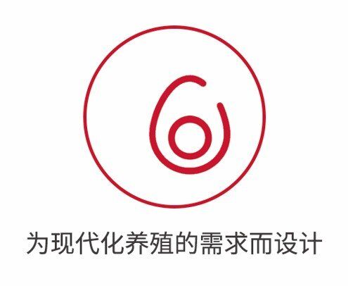 节省65%的人力，种鸡分栏这么做|新技术