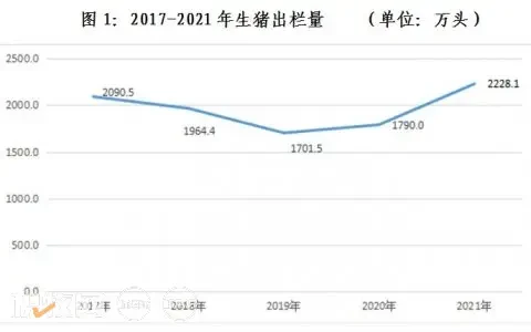 创历史新高！黑龙江2021年生猪出栏2228万头，同比增幅达24.5%