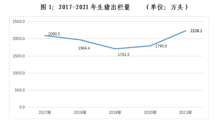 创历史新高！黑龙江2021年生猪出栏2228万头，同比增幅达24.5%