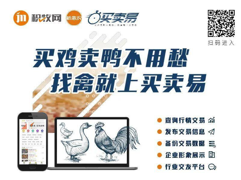 占全球34%!山东年出栏23亿只肉鸭,这些领域还存在大商机……