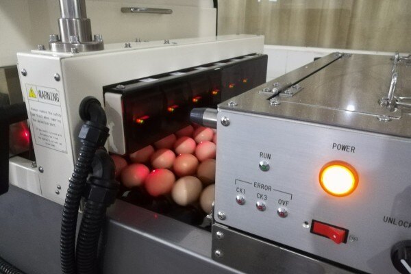 乐夫农业：“安全+精准+绿色” 规模化养殖，让每枚鸡蛋都成为一个承诺