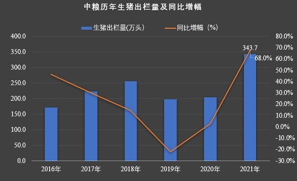 創歷史新高！中糧家佳康1月出欄生豬40萬頭，環比增長超三成