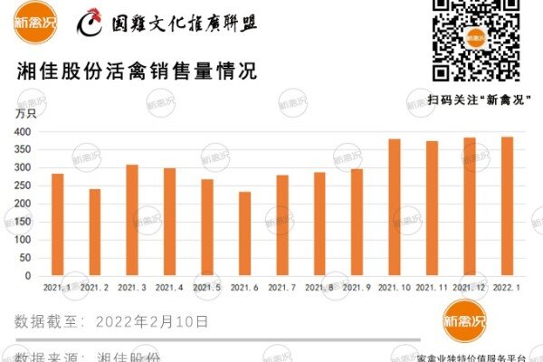 同比暴增36%！湘佳股份1月销售活禽386.61万只，再创历史新高，产能持续扩张中