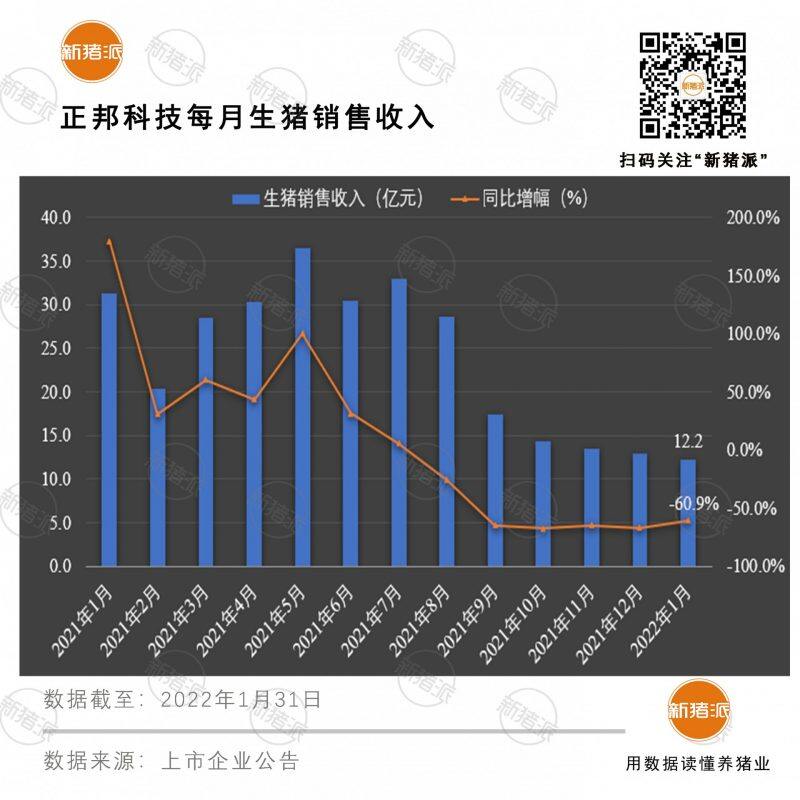 增量不增收！正邦1月出栏生猪超90万头，生猪收入12亿，同比降幅超60%