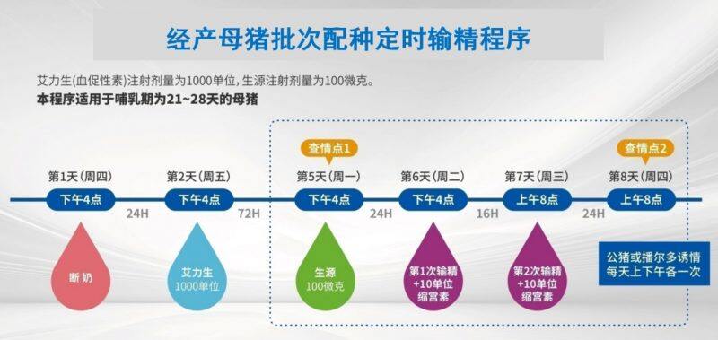 新旧猪场实施批次化管理的管理、技术要点