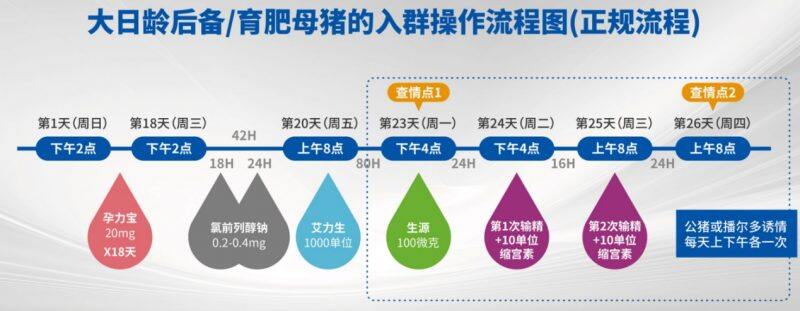 新旧猪场实施批次化管理的管理、技术要点