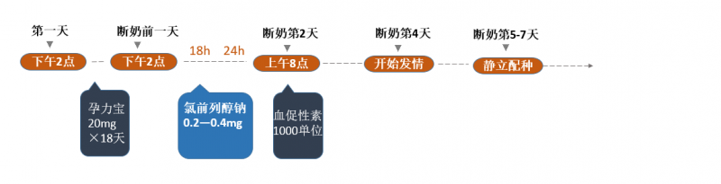 集团猪场批次化方案分享解析