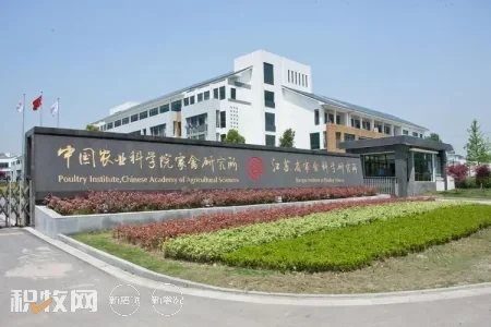 江苏省家禽科学研究所获批牵头建设农业农村部重点实验室
