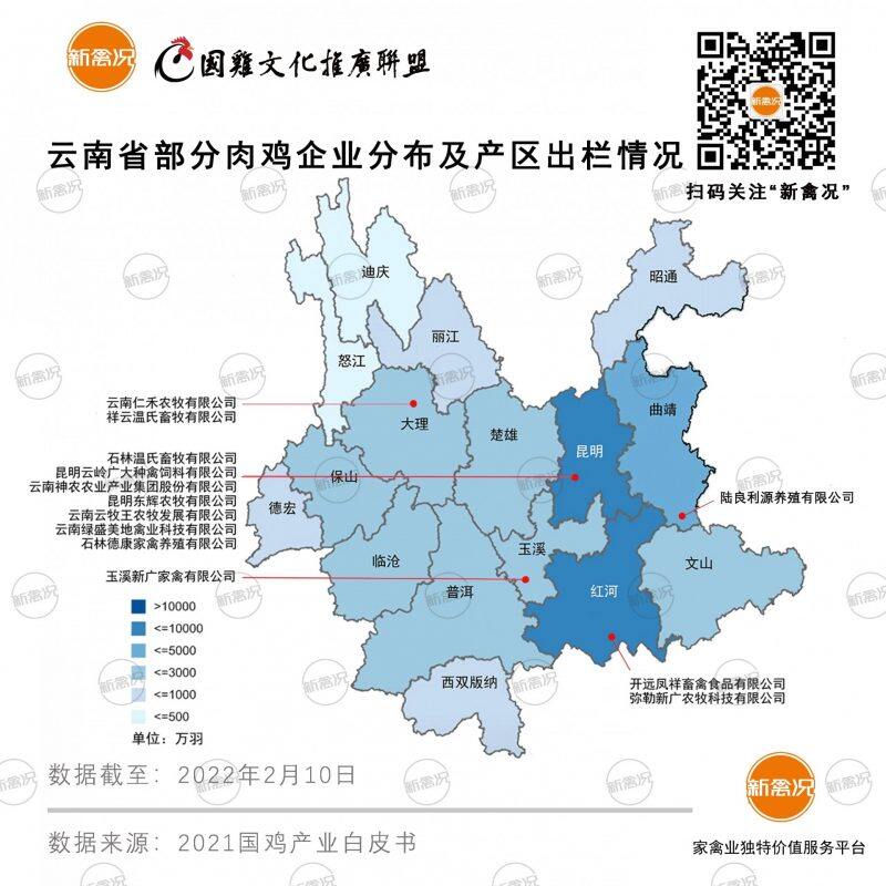 持续增长！云南省2021年出栏家禽达3.45亿只，肉鸡占比90%以上丨嘉吉特约·数说禽事