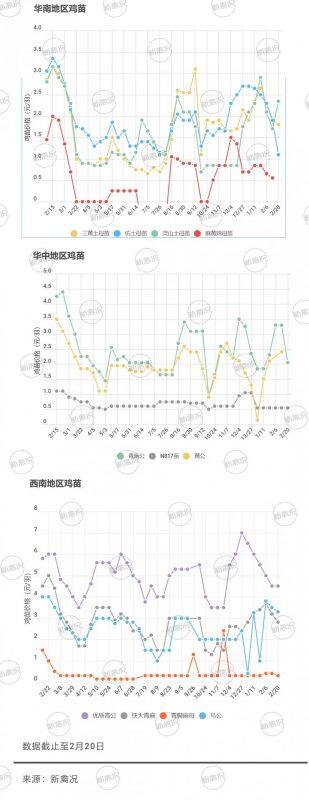 跌跌跌！雞價下滑，雞苗賤賣，苗價最高跌幅1.5元/只丨苗價分析