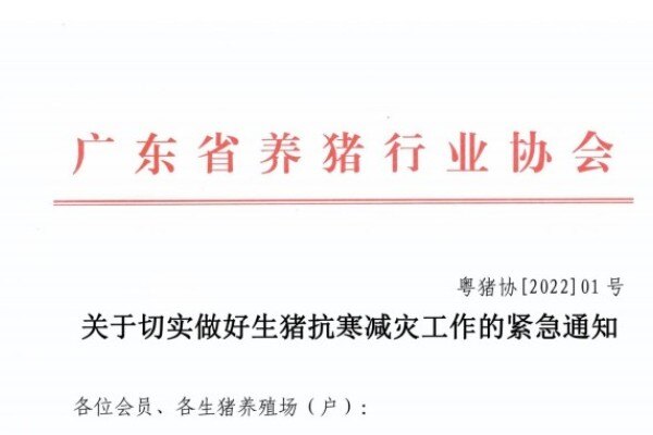 紧急通知：最低2℃！广东养猪协会发布抗寒减灾十项措施
