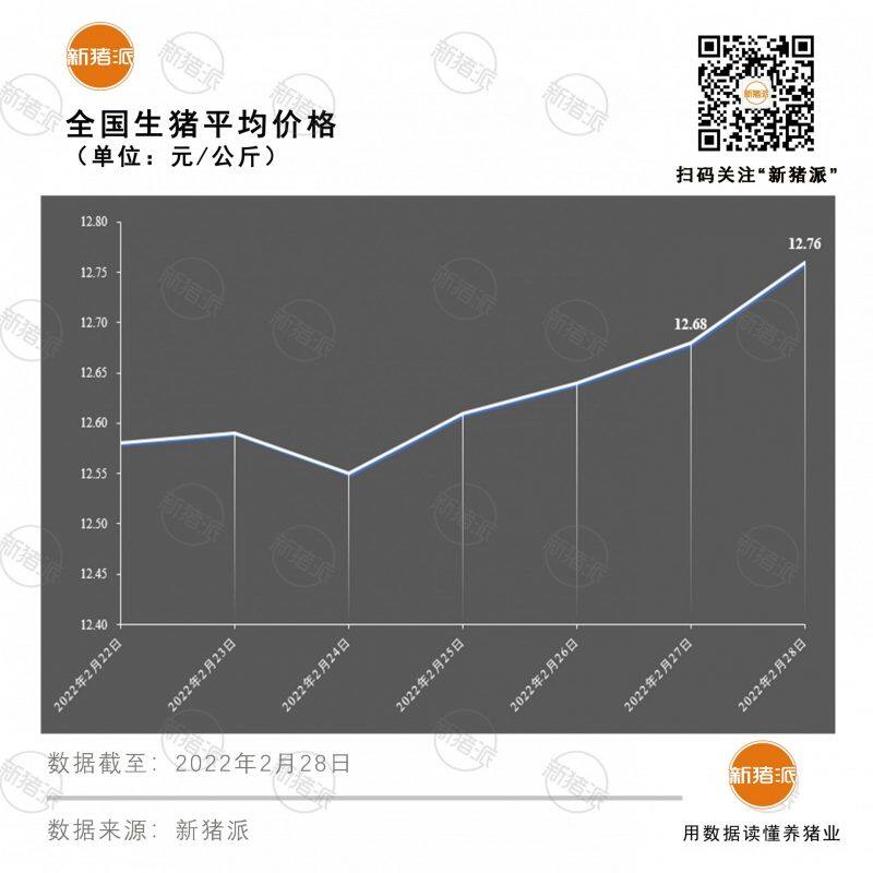 连涨4天，23个省区齐涨，猪价即将大面积破8？|新猪派猪价